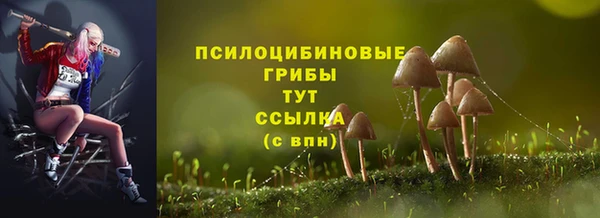 2c-b Алзамай