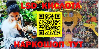 спиды Ярославль