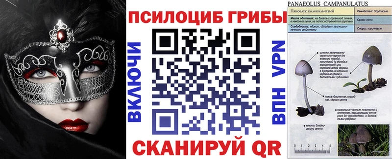 Галлюциногенные грибы мицелий ссылка на мегу зеркало Белебей цена