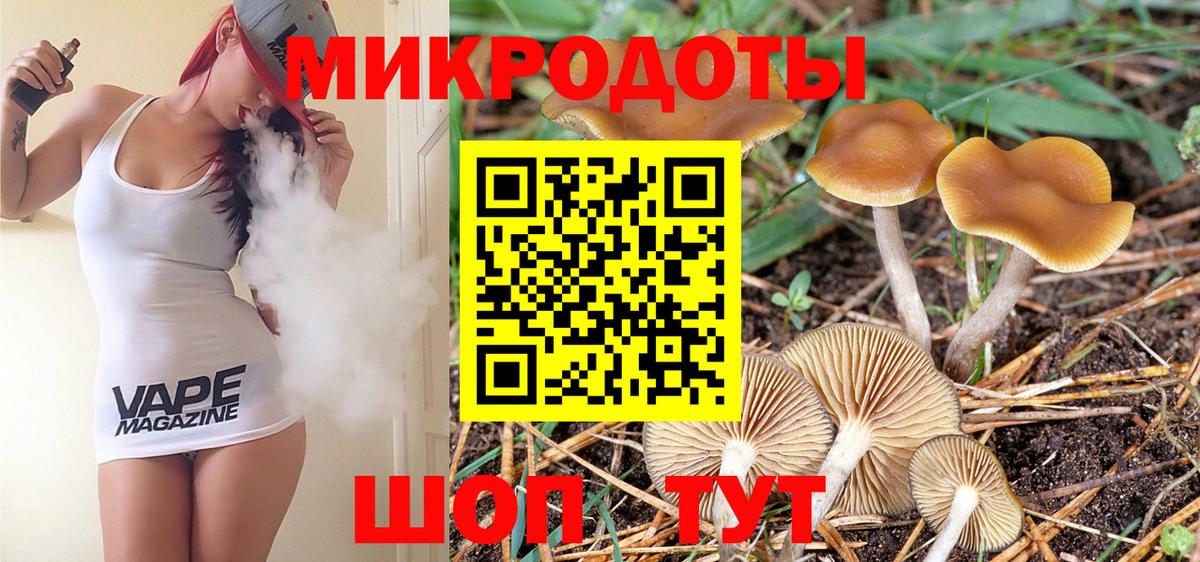 Псилоцибиновые грибы Cubensis Белебей